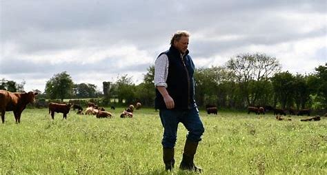 Tax changes in budget last straw for UK farmers after ‘years of being squeezed’